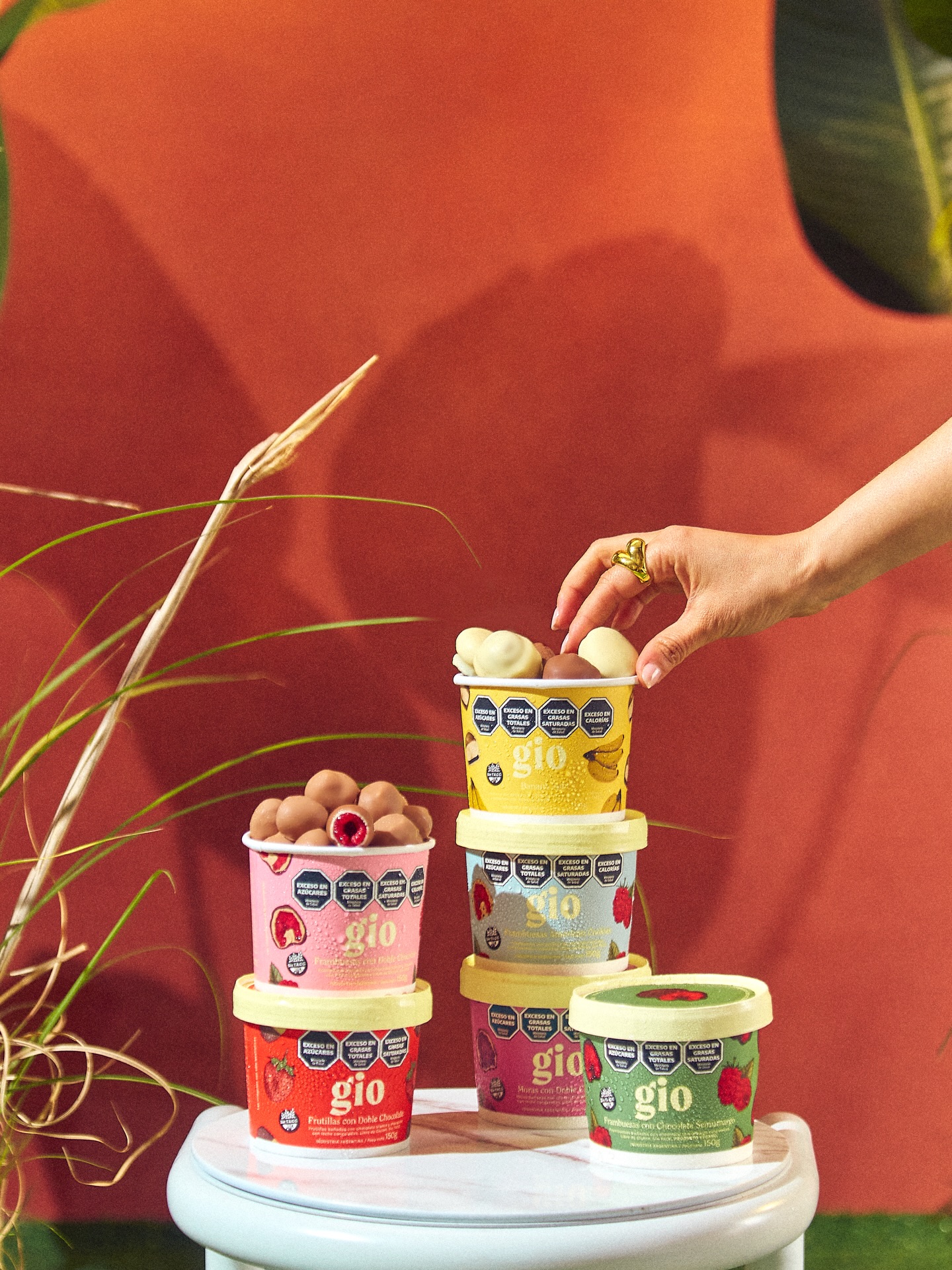 Variedad de productos GIO